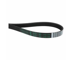 Cinghia A Vite 1239PJ5E Compatibile Con Whirlpool 481235818215 Lavatrice