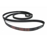 Cinghia accessoria standard CONTITECH 4 striature 611mm BMW