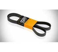 Cinghia ALFA ROMEO MITO AUDI FIAT CONTITECH 6PK1325