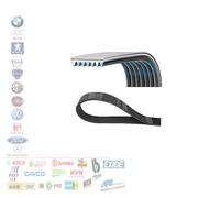 CINGHIA ALTERNATORE AUSILIARE POLY-V 6PK1070 6PK1075