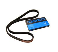 Cinghia alternatore DAYCO DAY5PK935