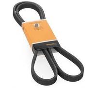 Cinghia Alternatore Servizi Continental 6 PK 1795 Renault Master/Trafic v. descr