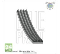 Cinghia alternatore servizy Poly-V BluePrint per KIA CARENS SHUMA PRIDE MITSUBI