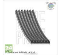 Cinghia alternatore servizy Poly-V BluePrint per KIA SORENTO LAND ROVER DISCOVE