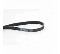 Contitech 6PK1710 Cinghie Trapezoidale