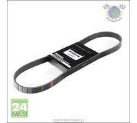 Cinghia alternatore servizy Poly-V Kamoka per BMW 3 E93 320 318 E92 316 E91 E90