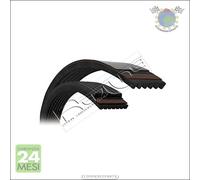 Cinghia alternatore servizy Poly-V RedLine per KIA SORENTO LAND ROVER RANGE DIS