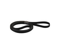 Cinghia Asciugatrice 1904 PH7 E Come Whirlpool 481935818156 Indesit C00378055
