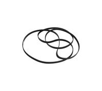 Cinghia Asciugatrice per Bauknecht Whirlpool 481235818164 1936H6 1936H