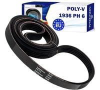 Cinghia Asciugatrice Poly-V 1936 PH 6 481235818164 per Whirlpool