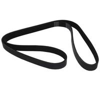 Cinghia ausiliaria 21,36 x 1.548 mm per Golf 4 e Bora