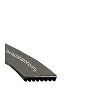 Cinghia Chiusa 1023 PH 8 Lavatrice Come EFS Ardo Merloni 416004101