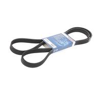 cinghia clima bosch 1987946064