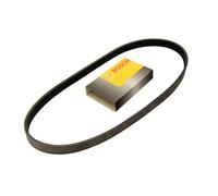 Bosch Cinghia Scanalata + Galoppino per BMW 1er 116 118 120 3er 316 318 320