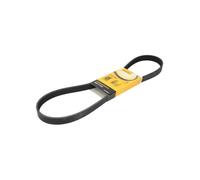 CINGHIA CLIMATIZZATORE CONTINENTAL AUDI A3 SEAT LEON SKODA VW GOLF 6PK1026