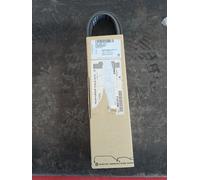 CINGHIA CLIMATIZZATORE ORIGINALE AUDI VW SEAT SKODA 03L903137J