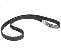 Cinghia CONTITECH CT1044 per AUDI A3 (8L1) 1.9 1997-2001