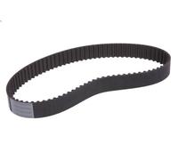 Cinghia CONTITECH CT1095 per AUDI Q7 (4LB) 4.2 2007-2009