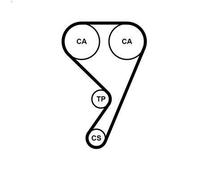 Cinghia CONTITECH CT1211 per FORD FOCUS III 1 2012-2017
