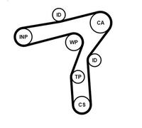 Cinghia CONTITECH CT1241 per ALFA ROMEO GIULIA (952_) 2.2 2018-2022