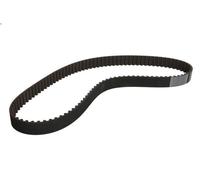Cinghia CONTITECH CT862 per FIAT REGATA (138_) 1.9 1984-1989