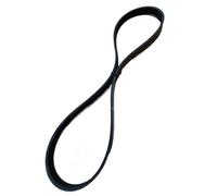 Cinghia da 14'' adatta for sega troncatrice K960 K970 544 90 84-03