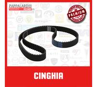 CINGHIA DAYCO 94157 CITROEN AX 14D 94157 08.1991 - 12.1997 37KW 50CV