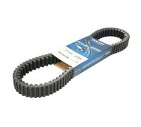 Cinghia Dayco Doppia Dentatura Extra Rinforzata Per Moto Ricambi Accessori