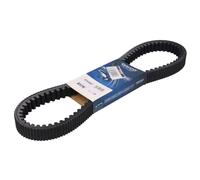 DAYCO XTX1007 Cinghia di trasmissione-CVT