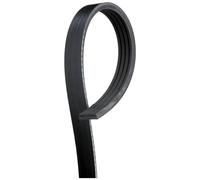 Cinghia Dei Servizi E Accessori Gates 4pk668