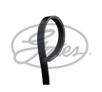 GATES Chingia Micro-V 4PK738