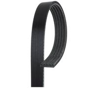 Cinghia Dei Servizi E Accessori Gates 5pk1123