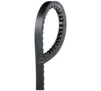 Cinghia Dei Servizi E Accessori Gates 6220mc