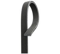 Cinghia Dei Servizi E Accessori Gates 6dpk1195