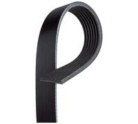 Cinghia Dei Servizi E Accessori Gates 7pk1770