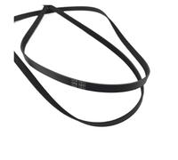 Cinghia del cestello dell'asciugatrice 1971 H7, compatibile con asciugatrici AEG e Zaanussi