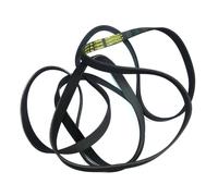 Cinghia Del Motore GENUINO HOTPOINT Per Asciugatrice 9318W