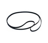 Cinghia del tamburo multi-cuneo resistente all'usura, compatibile con asciugatrice, che offre flessibilità e durata, garantendo un funzionam