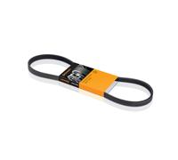 Cinghia dell'albero di bilanciamento CONTINENTAL CT833