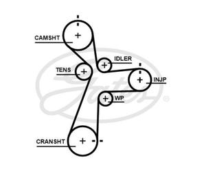 Cinghia dell'albero di bilanciamento GATES 5696XS