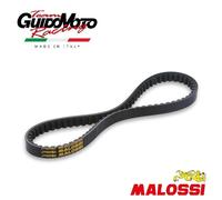 CINGHIA DENATATA MALOSSI ANGOLO 34° SI' BOSS VARIATORE CICLOMOTORI PIAGGIO 6173