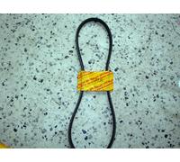 CINGHIA DENTATA -BELT PIRELLI 7235 MISURA 12.5X1100LE PORSCHE 911-ALFA75