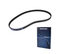 CINGHIA DENTATA CINGHIA FISCALE DUCATI MONSTER 900/SS 900/ST2 944/906 E 907 PASO
