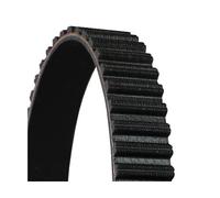 Contitech CT 617 Cinghie Distribuzione