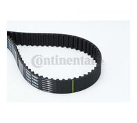 Contitech CT 1064 Cinghie Distribuzione