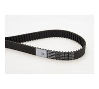 Cinghia Dentata Continental Ctam CT1134 per Audi Seat Skoda VW
