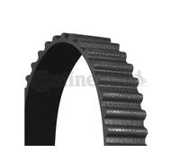 Cinghia Dentata Continental Ctam CT1136 per Mazda