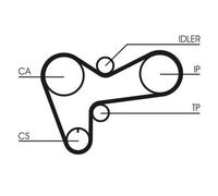 Cinghia di distribuzione CONTINENTAL CT508