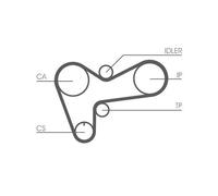 Cinghia di distribuzione CONTINENTAL CT508