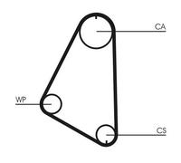 Cinghia dentata CONTINENTAL CTAM CT526